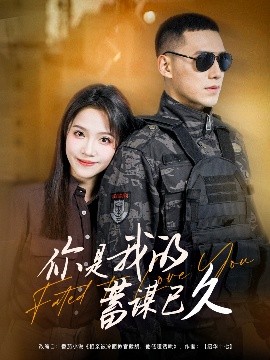 你是我的蓄谋已久全集