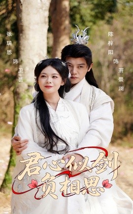 君心似剑负相思全集