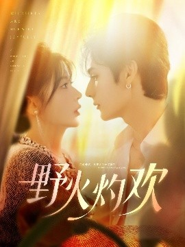 野火灼欢全集