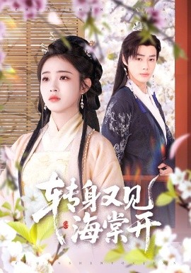转身又见海棠开全集