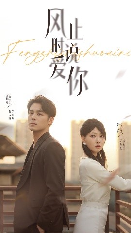 风止时说爱你全集