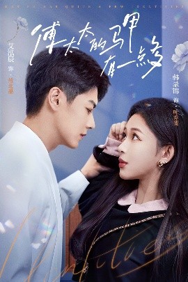 傅太太的马甲有一点多全集