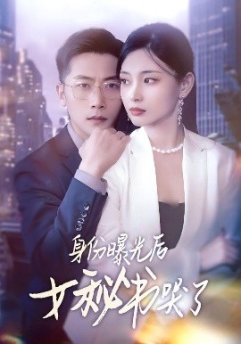 身份曝光后女秘书哭了全集