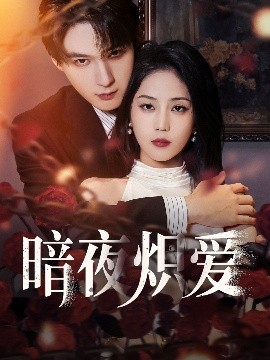 暗夜炽爱全集