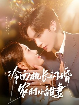 冷面机长闪婚农村小甜妻全集