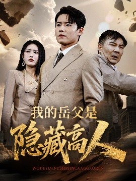 我的岳父是隐藏高人全集