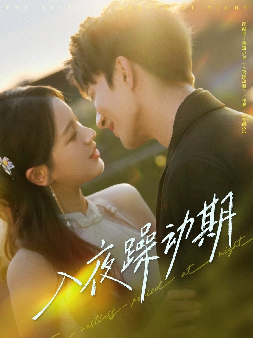 入夜躁动期全集