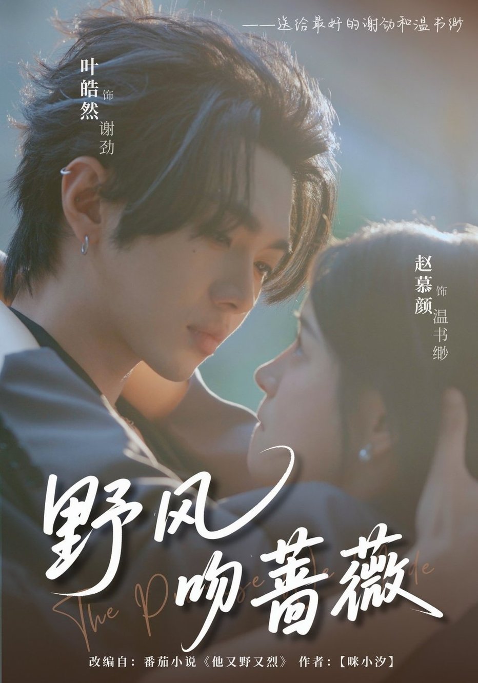 野风吻蔷薇全集