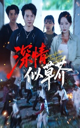 深情似草芥全集