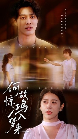 何故惊鸿入梦来全集