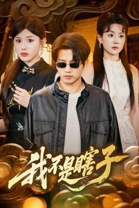 我不是瞎子全集