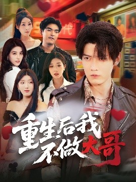 重生后我不做大哥全集