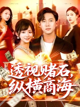 透视赌石纵横商海全集