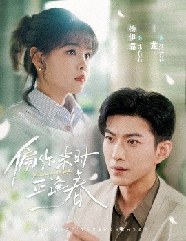 偏你来时正逢春全集