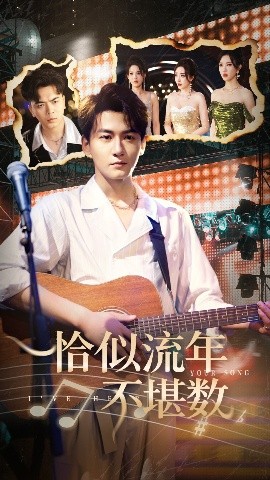 恰似流年不堪数全集