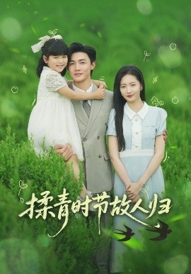 揉青时节故人归全集