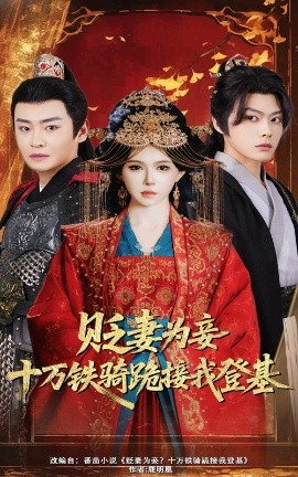 贬妻为妾十万铁骑跪接我登基全集