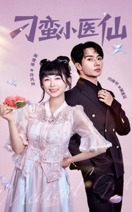 刁蛮小医仙全集