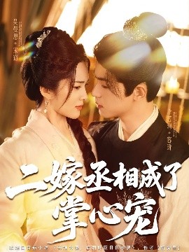 二嫁丞相成了掌心宠全集