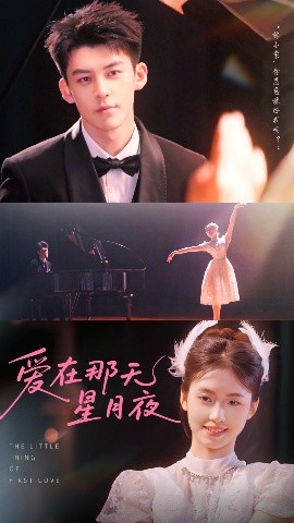 爱在那天星月夜全集