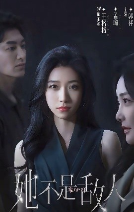 她不是敌人全集