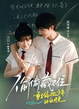 偷偷藏不住重生偏执少年的白月光全集