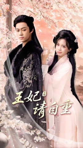 王妃请自重全集