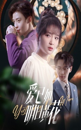 爱已如明日黄花全集