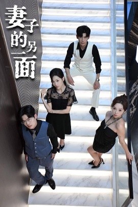 妻子的另一面全集