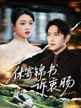 休寄锦书诉衷肠全集