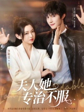 夫人她专治不服全集
