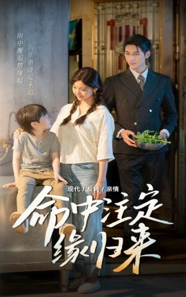 命中注定缘归来全集