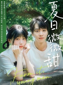 夏日微微甜全集