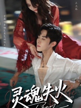 灵魂失火全集