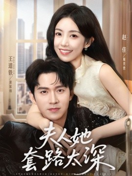 夫人她套路太深全集
