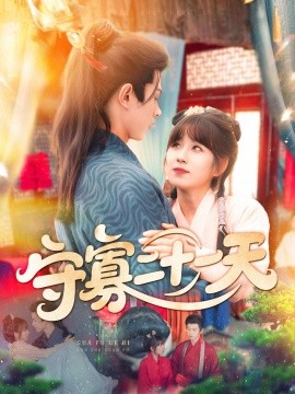 守寡二十一天全集