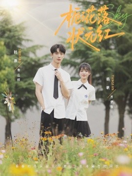 栀子花落状元红全集