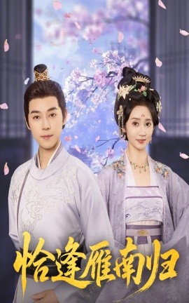 恰逢雁南归全集