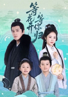 等花开，等你归全集