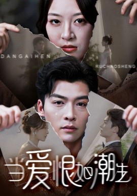 当爱恨如潮生全集
