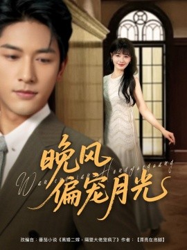 晚风偏宠月光全集