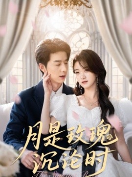 月是玫瑰沉沦时全集