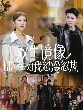双生镜像陆先生对我忽冷忽热全集