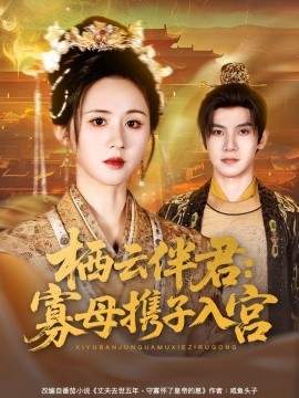 栖云伴君寡母携子入宫全集