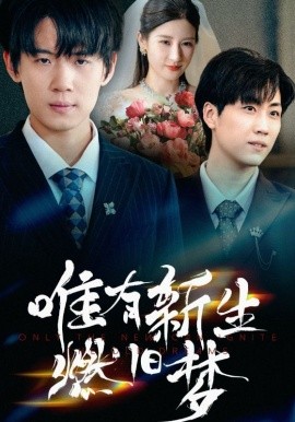 唯有新生燃旧梦全集