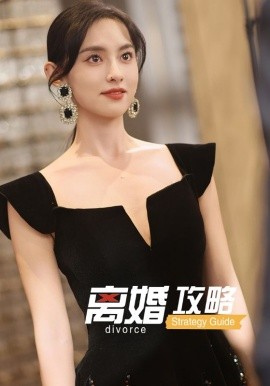 离婚攻略全集