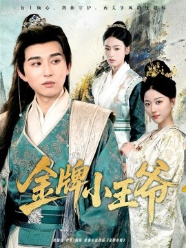 金牌小王爷全集