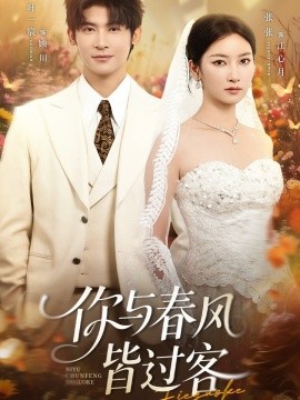 你与春风皆过客全集