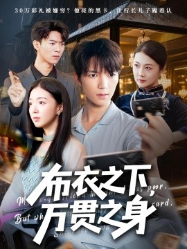 布衣之下万贯之身全集