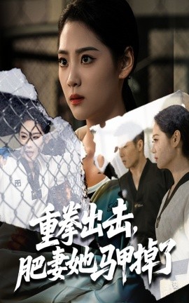 重拳出击肥妻她马甲掉了全集